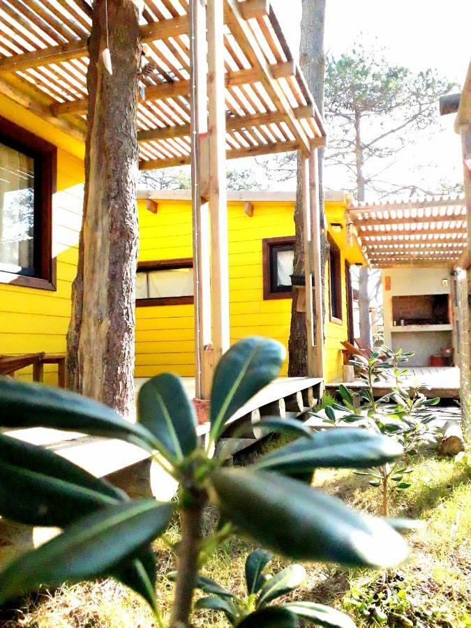Diabro'S Villa Punta Del Diablo Kültér fotó